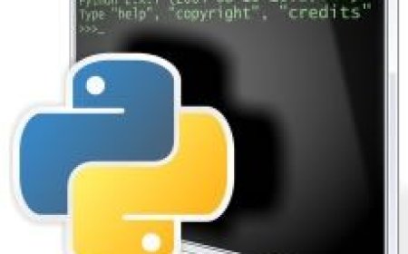 Mengapa Python Masih Jadi Bahasa Favorit di Era AI dan Data Science