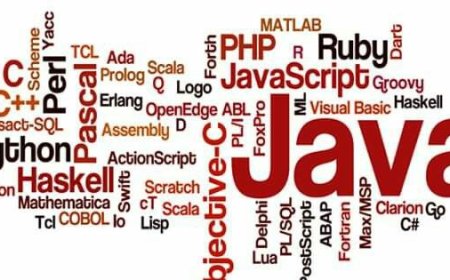 Bahasa Pemrograman Paling Cocok untuk Pemula Tahun 2025