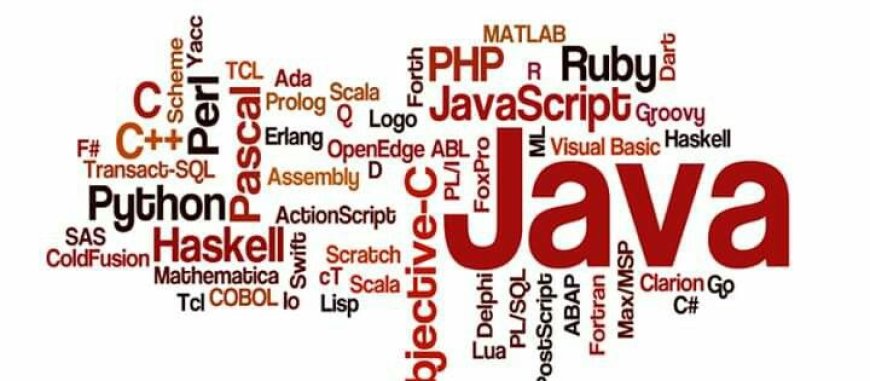 Bahasa Pemrograman Paling Cocok untuk Pemula Tahun 2025